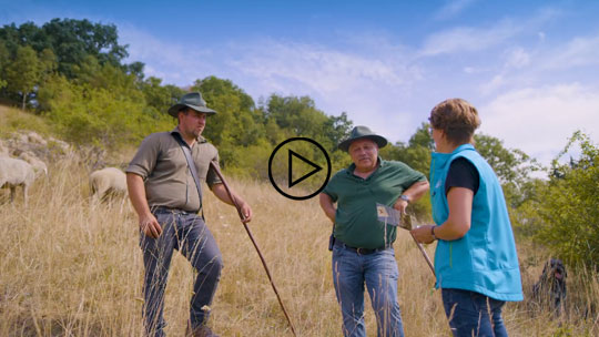 Vertragsnaturschutzprogramm - Imagevideo auf Youtube - Video