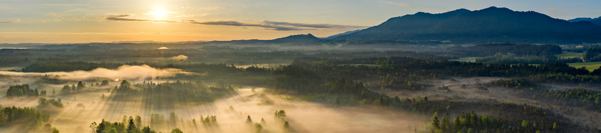 Oberbayerisches Moor bei Sonnenaufgang