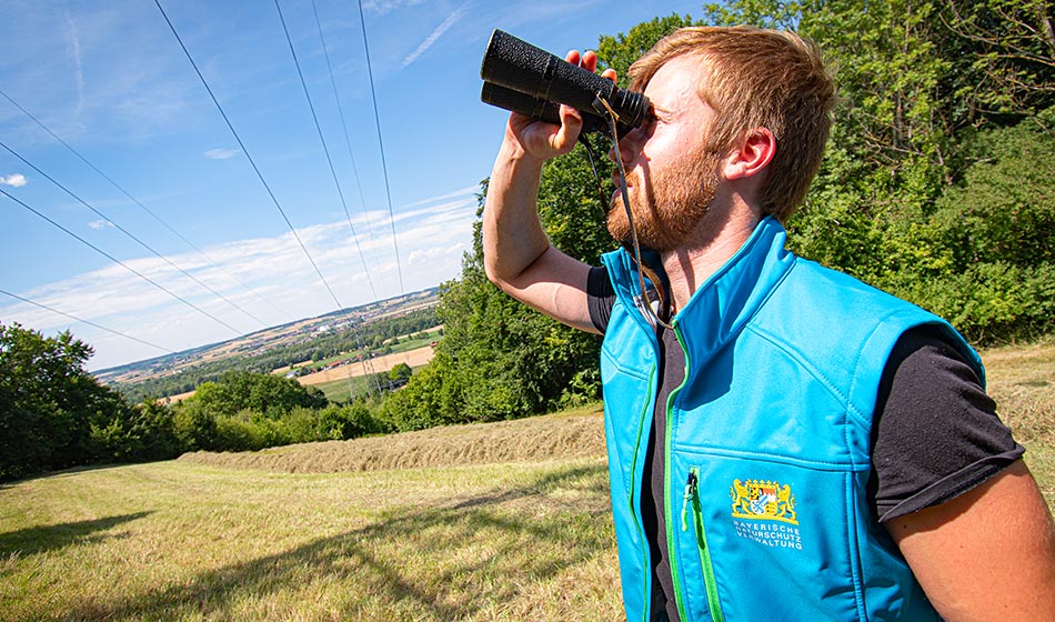 Mitarbeiter im Naturschutz blickt durch ein Fernglas.