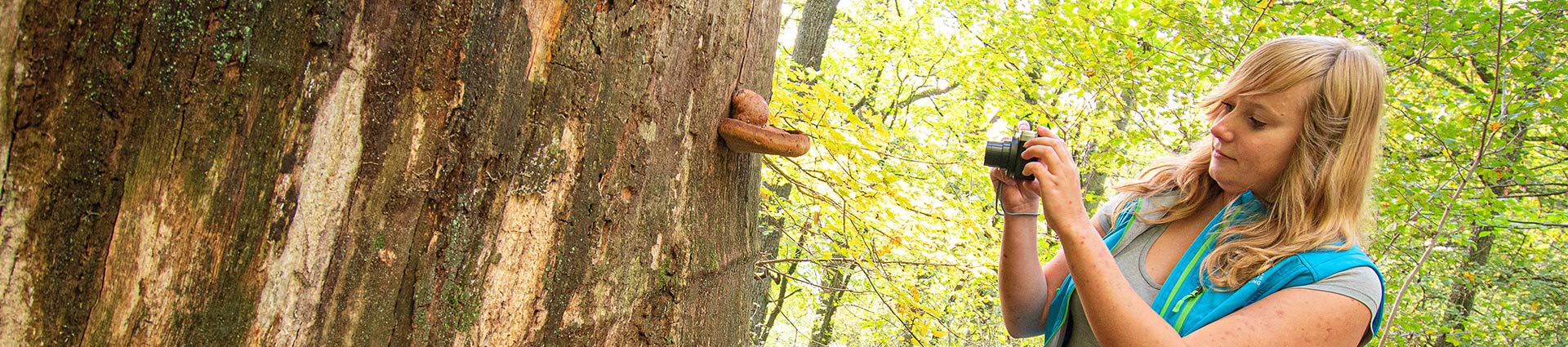 Das Foto zeigt Naturtalent Maria Keitel beim Fotografieren eines Baumpilzes